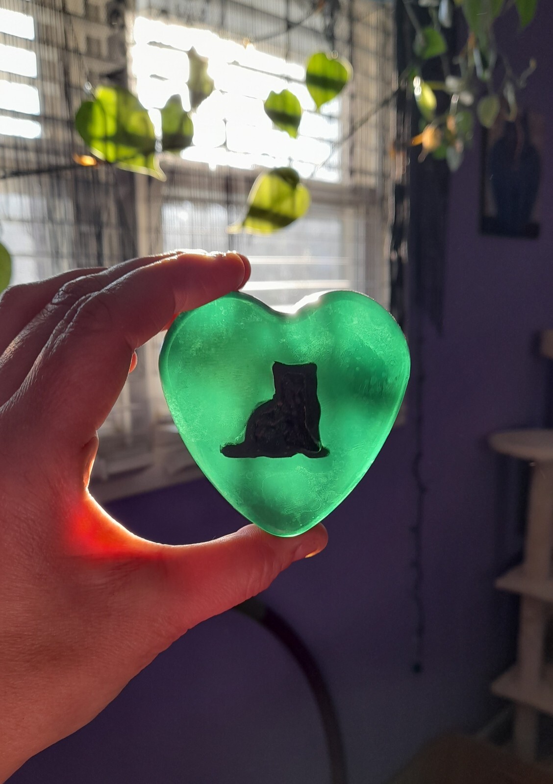 Aloe Glycerin Soap With A Charcoal Kitty All Natural Vegan Cats Kitty Kitten Emo