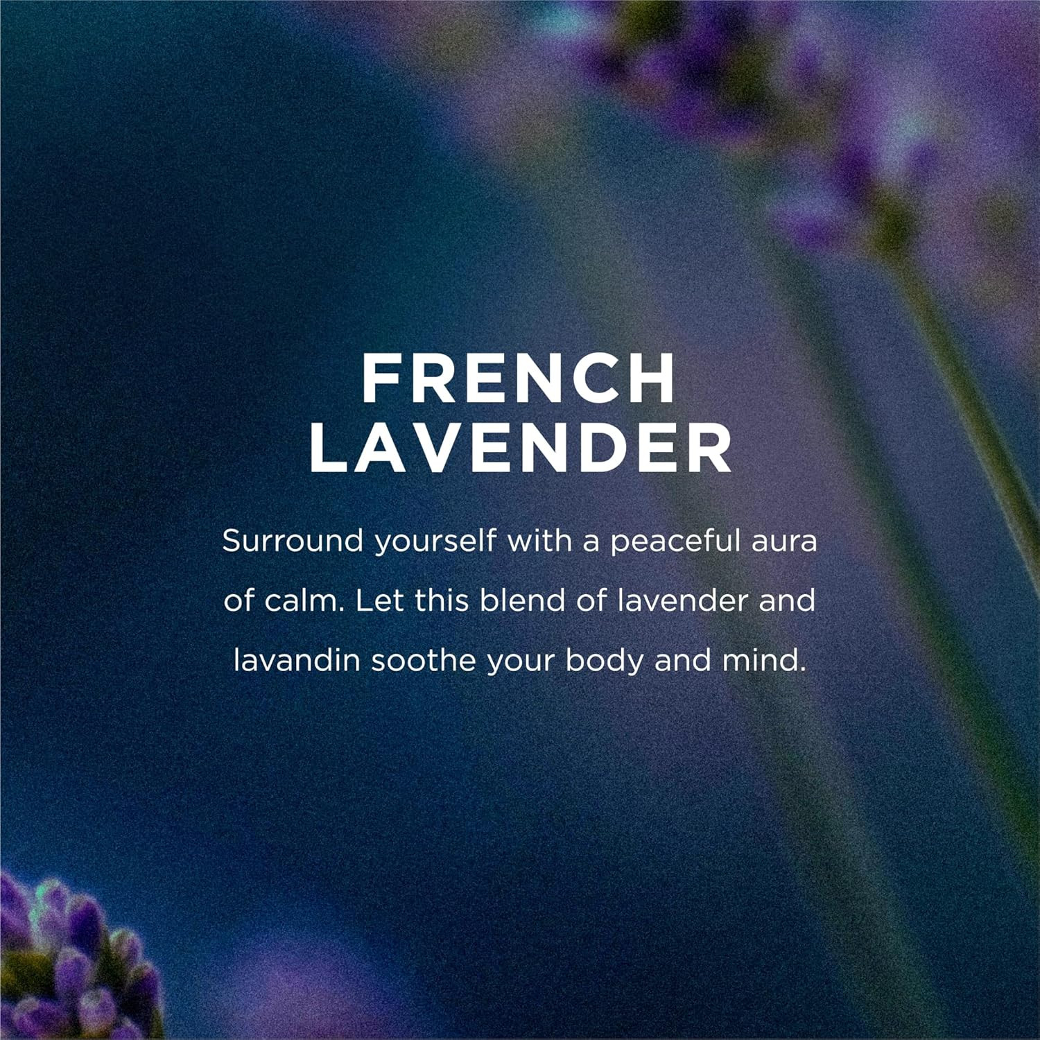 Organic French Lavender Liquid Hand Soap, 12 Ounce (Pack of 3)