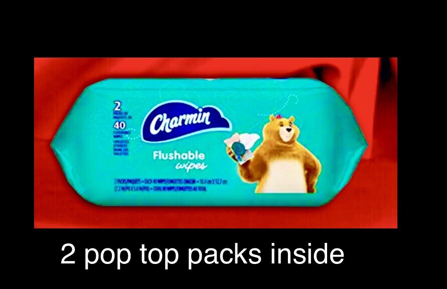Charmin Flushable Wipes with flip top lids 80 count (2 x 40 Wipes) printed packs
