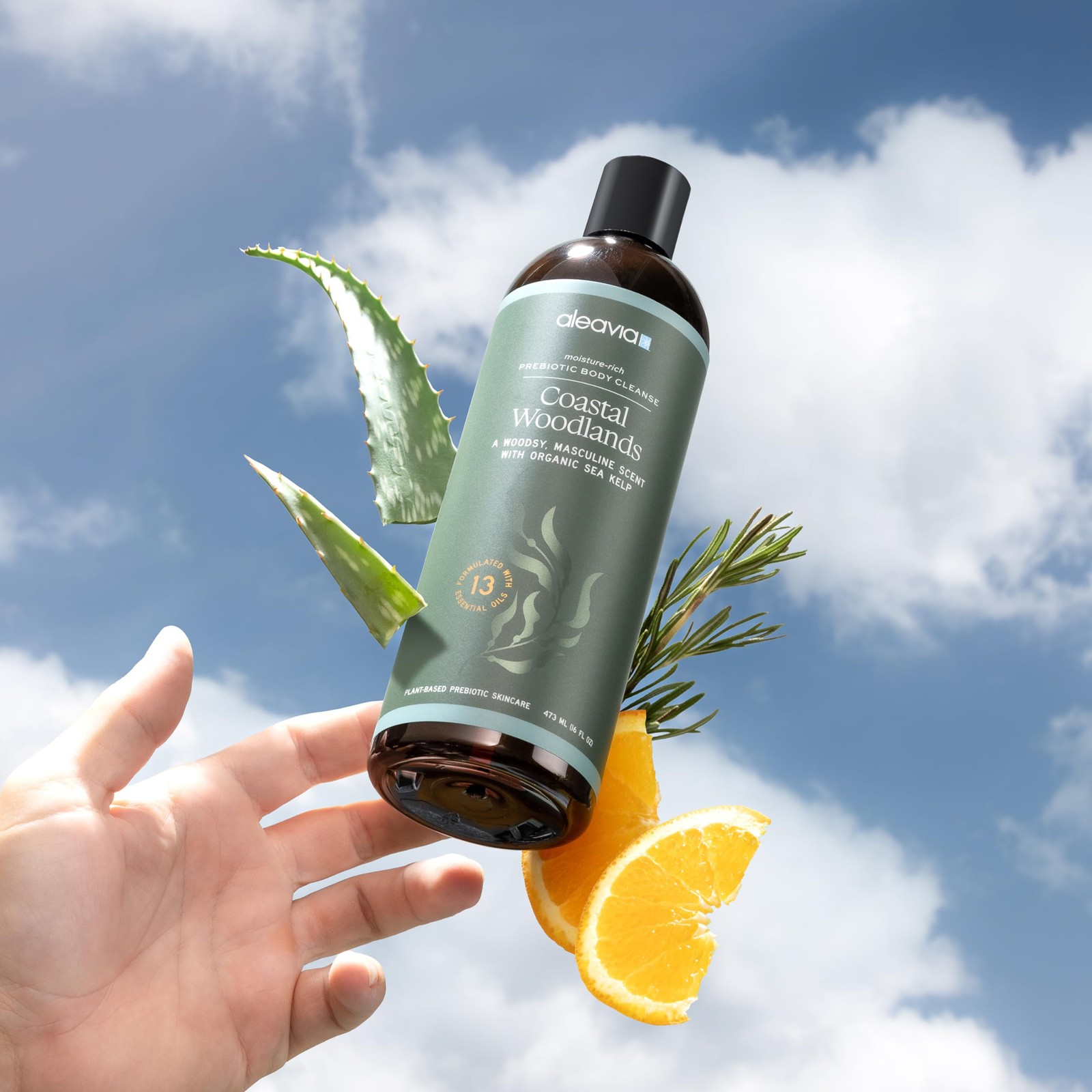 Aleavia Coastal Woodlands Mens Body Cleanse – Organic & 16 Fl Oz (Pack of 1)