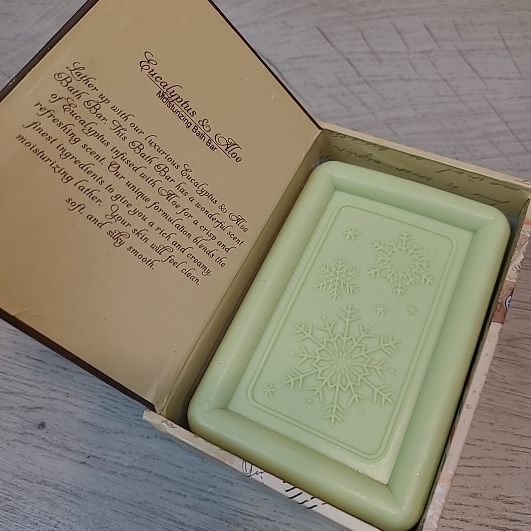 Eucalyptus & Aloe 12 oz Moisturizing Bath Bar Christmas Holiday Gift Box NEW
