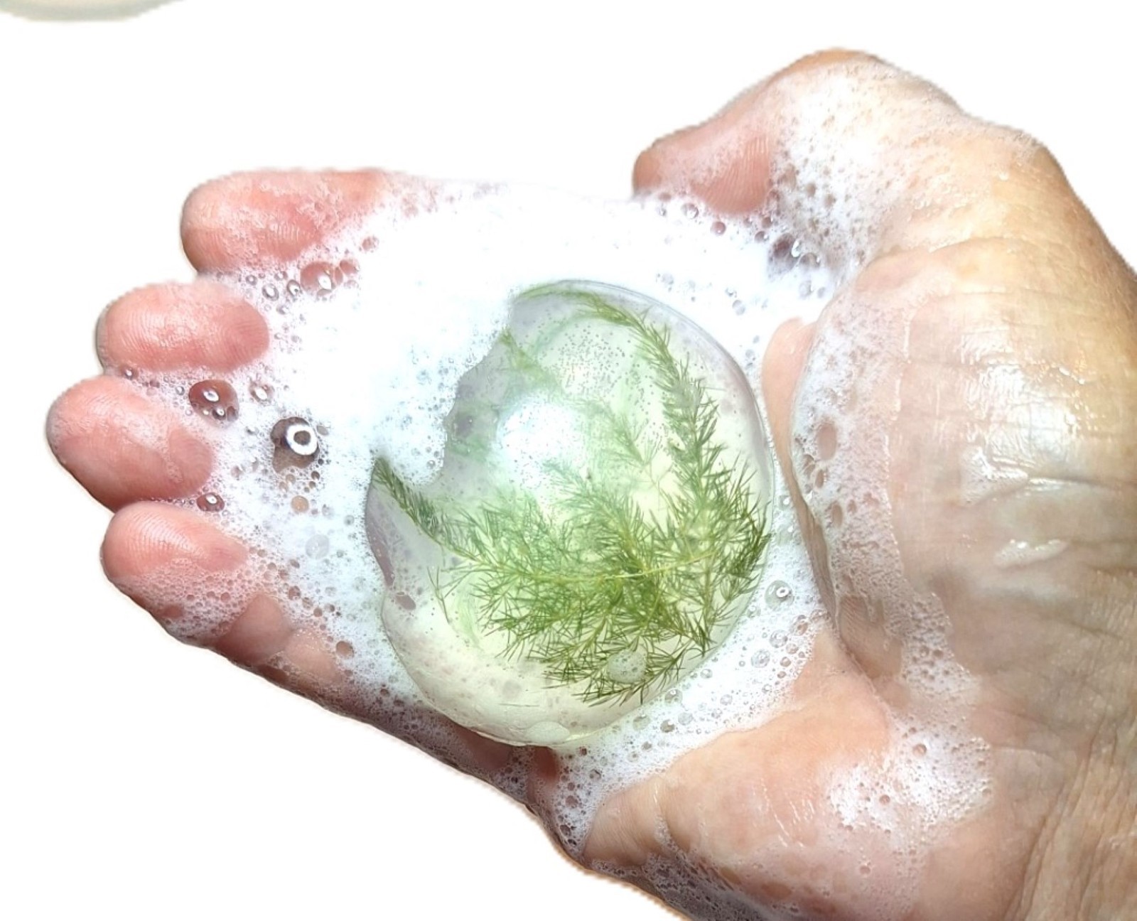 Forest Fern Botanical Soap Set 1 Pound Clear Glycerin Rounds Vegan, Unscented