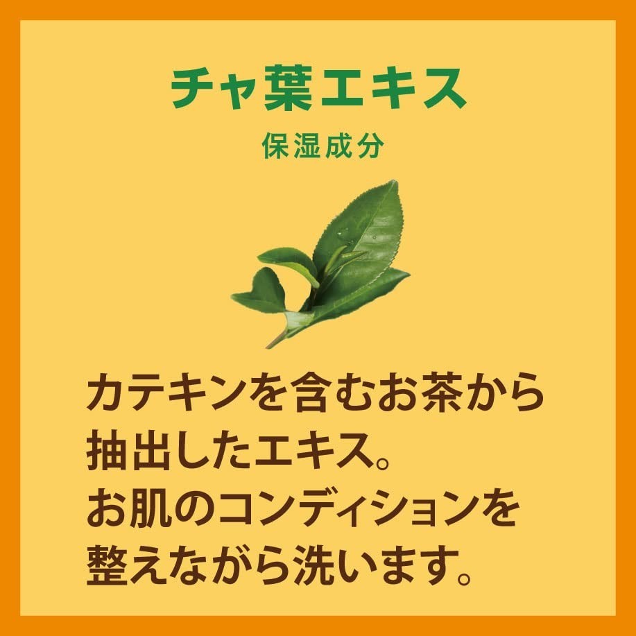 Pelican Persimmon Astringent Soap 2P 80g x2 Body Care Deodorant Tannin Japan