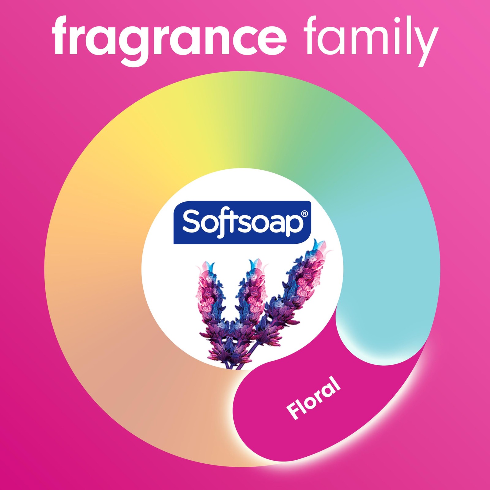 Softsoap Coconut & Hibiscus Scent Hydrating 11.25 Fl Oz (Pack of 6), Clear