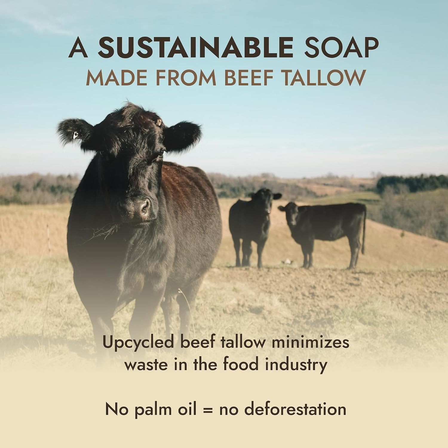 Handmade Pure Beef Tallow Soap Bar 3-Pack – Fragrance-Free, All-Natural Wash
