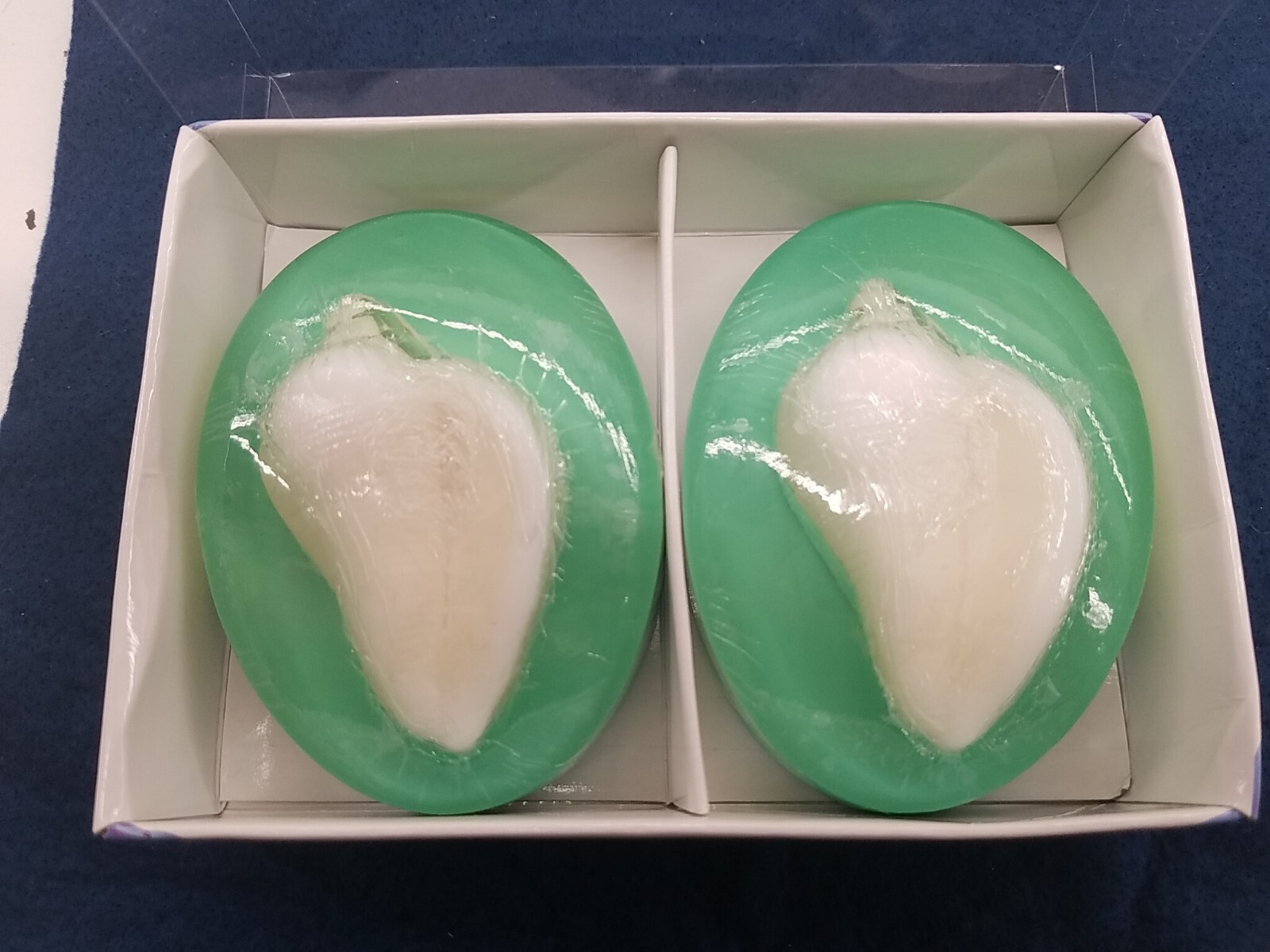 2PC Decorative Dermatologically Tested Taymor Soap Collection Clear Shell Soaps