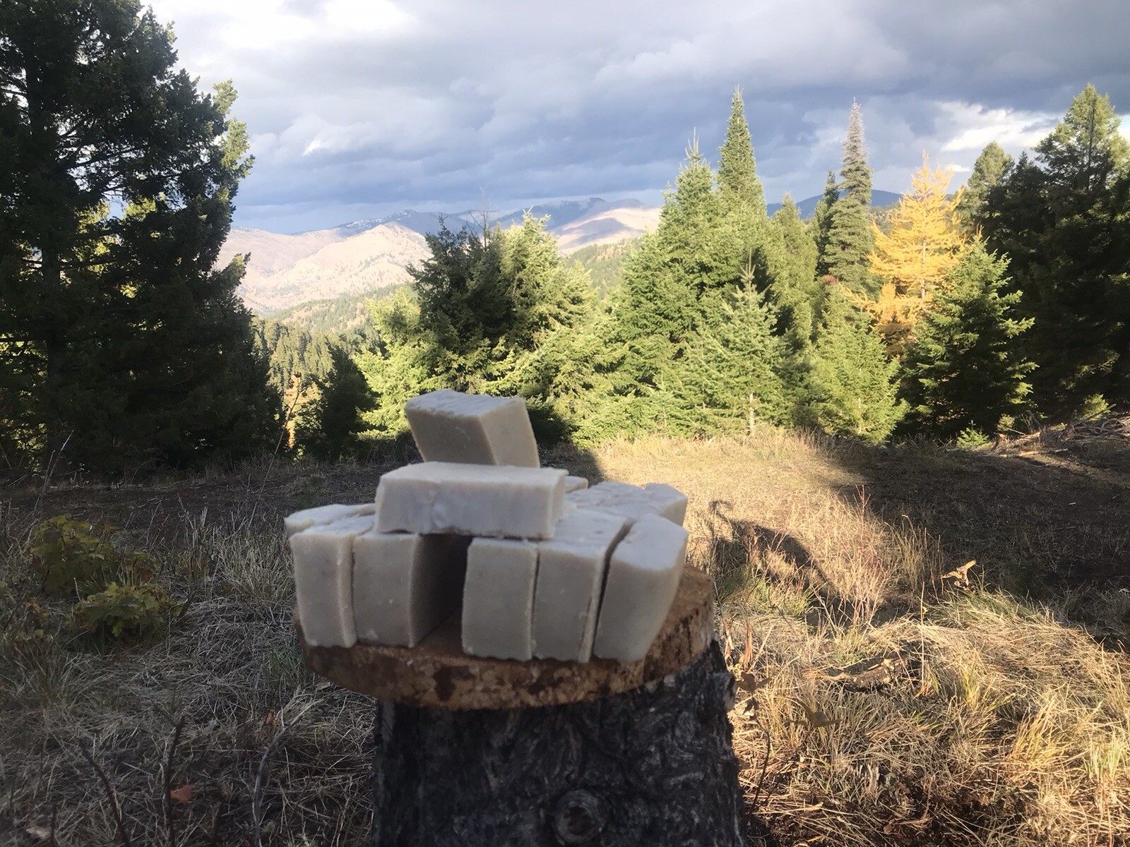 Goat Milk Soap With Essential Oil” 2 Lb Loaf “7Bars” MADE TO ORDER DM BF PURCH.