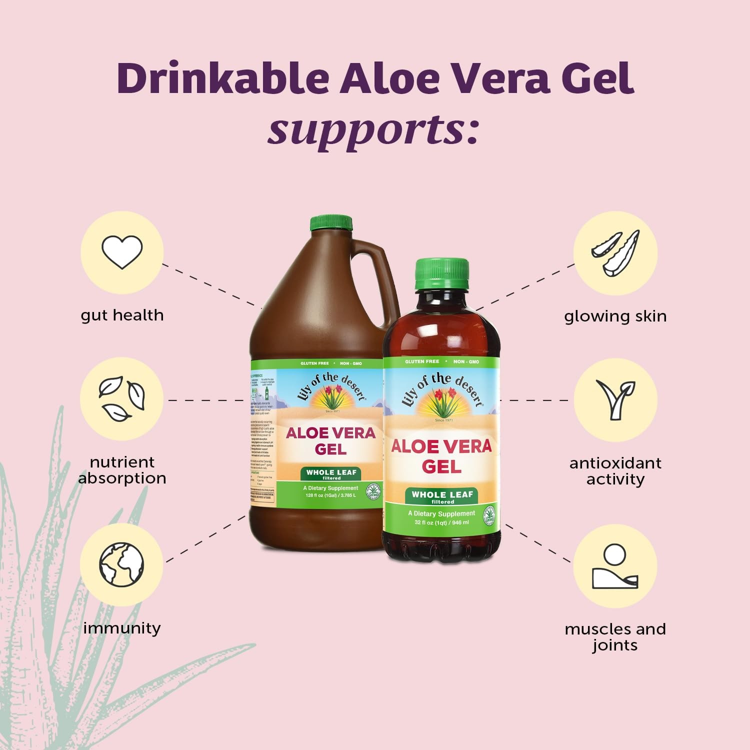Lily Of The Desert Aloe Vera Gel, 32 Fl Oz (Pack of 1), Whole Leaf