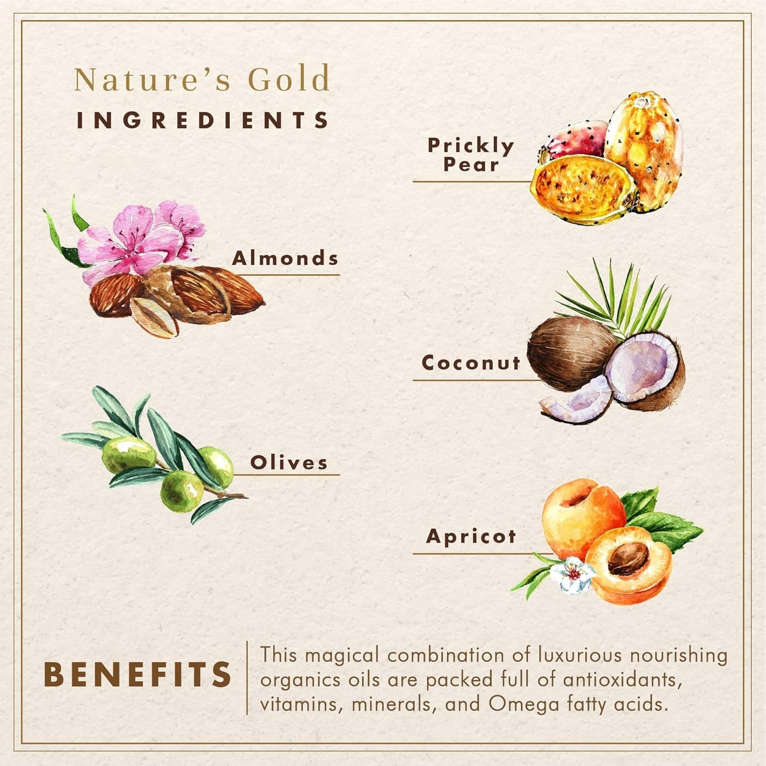 Natural Unscented Castile Soap – 128oz Total | , Cruelty-Free, Eco-Friendly