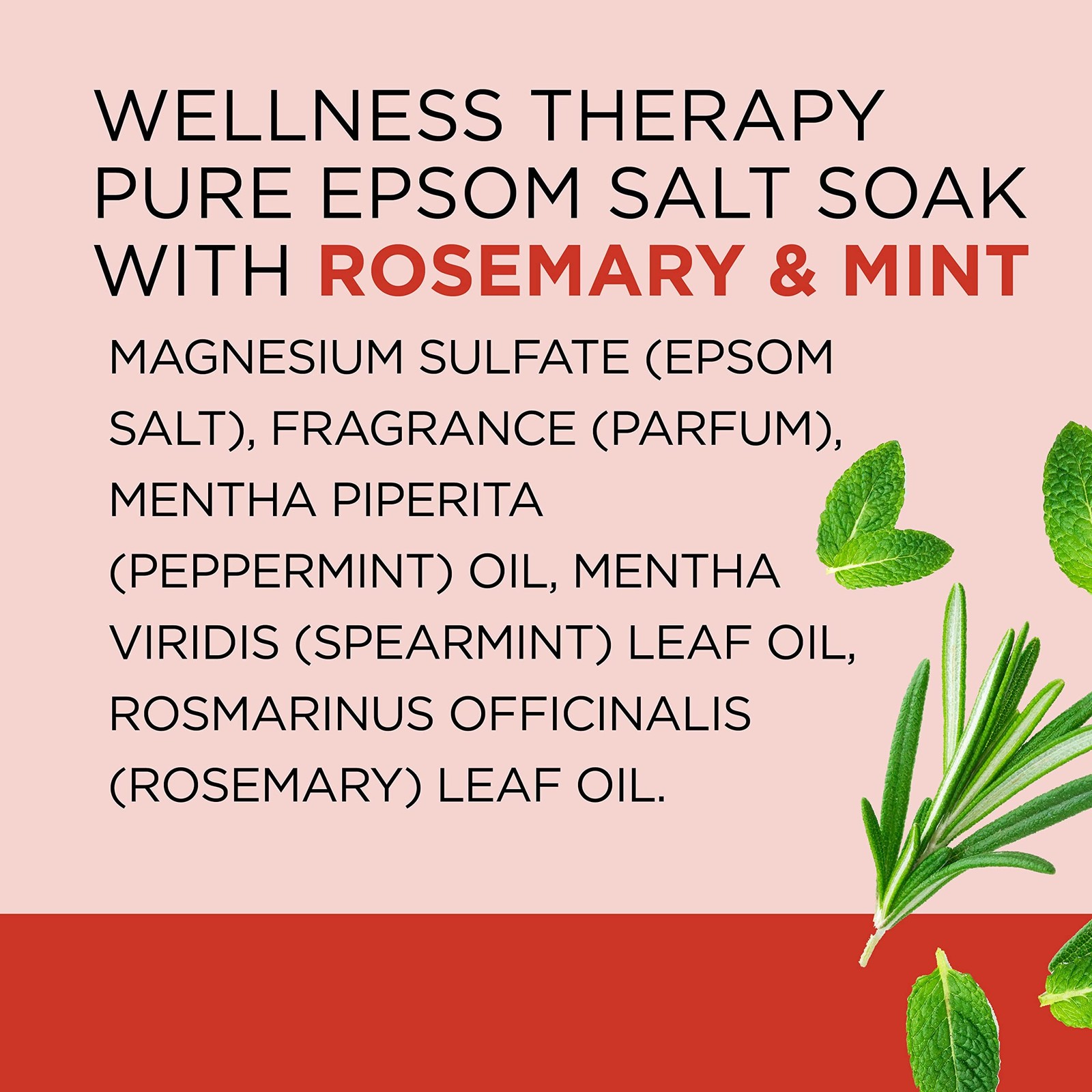 Dr Teal’s Pure Epsom Salt Soak, Wellness Therapy with Rosemary & Mint, 3 lbs …