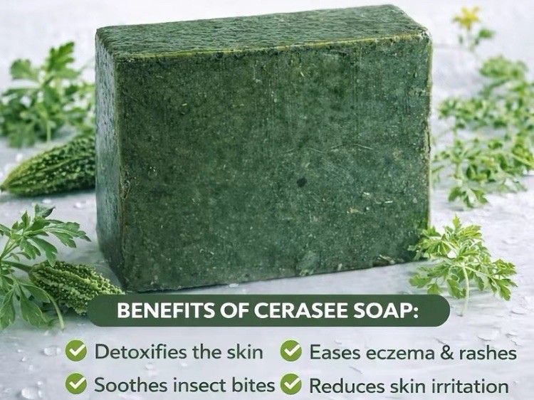 $20 Cerasee Herbal Soap–Natural Skin Cleansing BarSoap Handmade Acne Eczema Rash