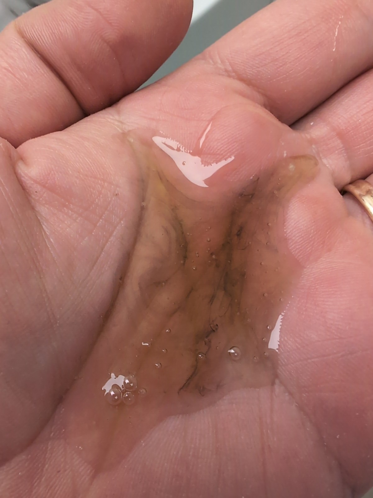 Olivos Olive Oil Charcoal Coconut Liquid Soap – Made in Turkey