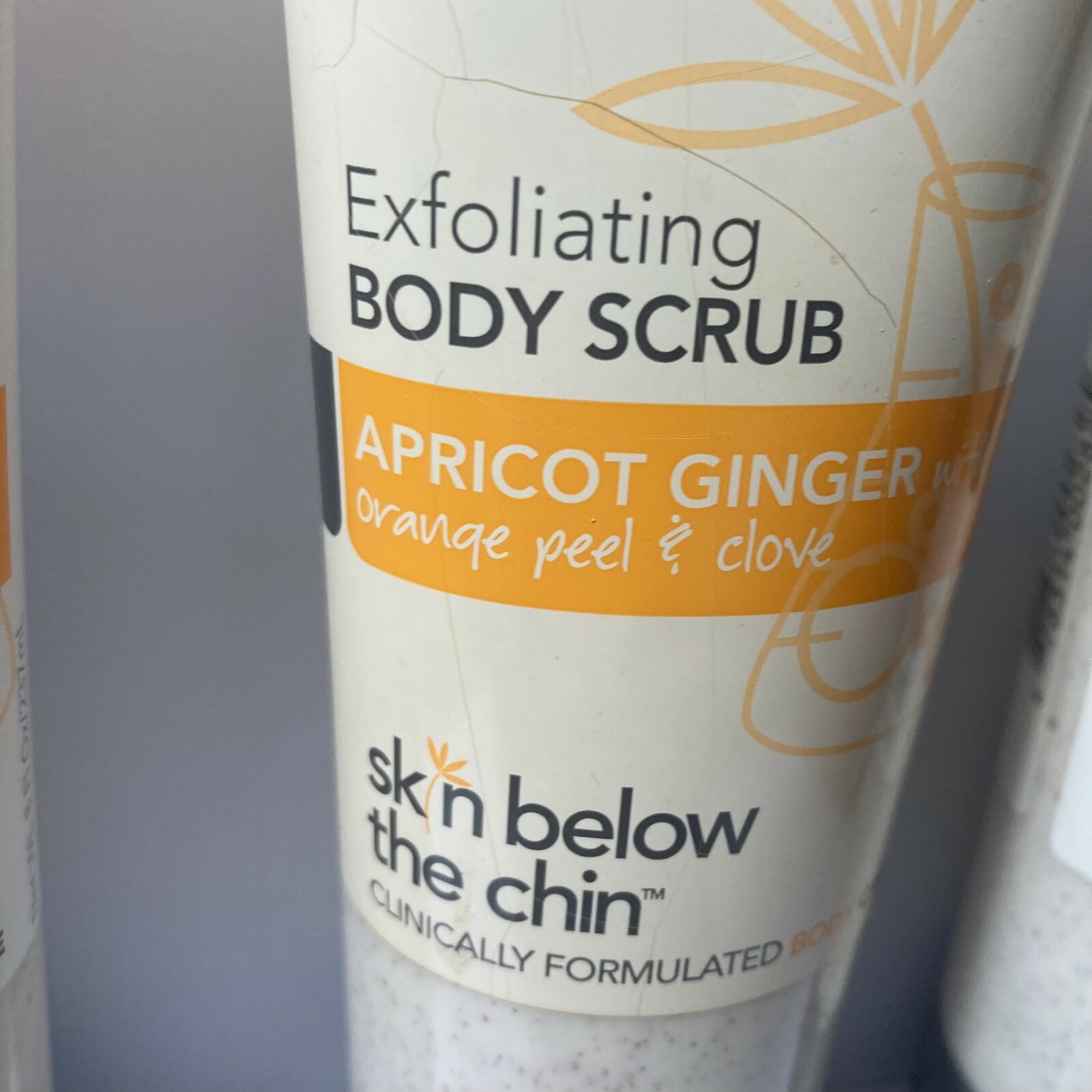3 DAMAGED Skin Below The Chin Exfoliating Body Scrub Apricot Ginger DISCONTINUED