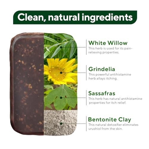 Poison Ivy Soap Bar 2.9 Oz Natural Relief Oak Sumac Anti-Itch Cleanser Rash