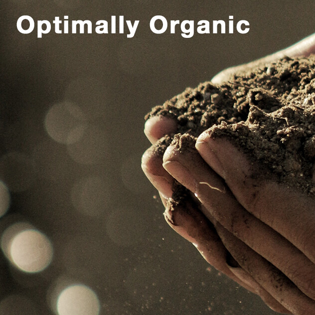 Optimally Organic Red Pine Needle Oil & Organic Olive Oil Glycerin Soap Natural!
